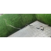 Трубка кондиционера 1999 4434400460