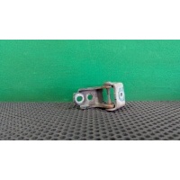Петля двери Renault Megane 3 2011 804200003RK