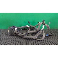 Проводка двери передней правой Renault Megane 3 2011 241242679R