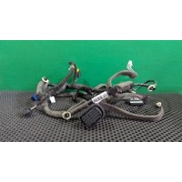 Проводка двери передней левой Renault Megane 3 2011 241252380R