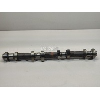 Распредвал Nissan QX4 (JR50) (1996 - 2002) 130204W003