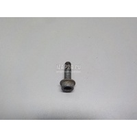Болт VAG Allroad quattro (2012 - 2019) N10702603