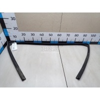 Уплотнитель стекла двери Hyundai-Kia Ceed (2012 - 2018) 82160A2000