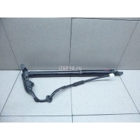 Амортизатор двери багажника Toyota RAV 4 (2013 - 2019) 6892049038