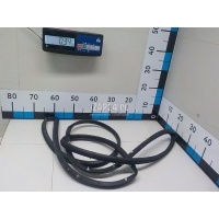 Уплотнитель двери Hyundai-Kia Santa Fe (DM) (2012 - 2018) 821302W000