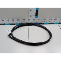 Уплотнитель двери Nissan Almera (G15) (2013 - 2018) 769224AA0B