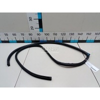 Уплотнитель двери Nissan Almera (G15) (2013 - 2018) 769244AA0B