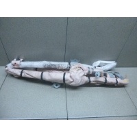 Подушка безопасности боковая (шторка) Mazda Mazda 6 (GJ/GL) 2013 GHK157KN0C