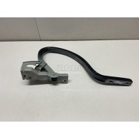 Петля крышки багажника GM Cobalt (2011 - 2015) 52030944