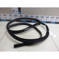 Уплотнитель двери Ford Kuga (2012 - 2019) 5227030