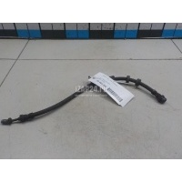 Шланг тормозной передний Ford Kuga (2012 - 2019) 1741404