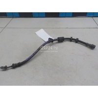 Шланг тормозной передний Ford Kuga (2012 - 2019) 1741404