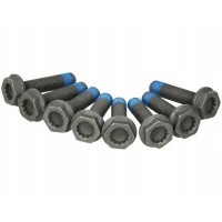 Schaeffler пробелы 411 0118 11 комплект болт , колесо маховик