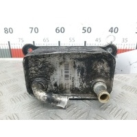Теплообменник Volvo V50 1 (2004-2010) 2009 L3614004,31201911