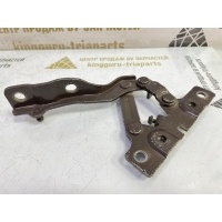 Петля капота Hyundai Santa Fe 3 DM до Рестайлинг 2012-2016 791202W000