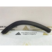 Расширитель двери Exeed TXL M32T 2020-2023 609001587AA