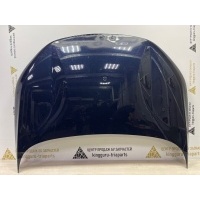Капот Omoda C5 T19C 2022-2024 553000311AADYJ