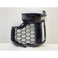 решетка в бампер BMW X5 G05 2018- 5111105034, 105034-20
