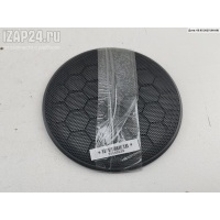 Сетка (решетка) динамика Перед. Лев. Volkswagen Passat B5 1998 3B0868149