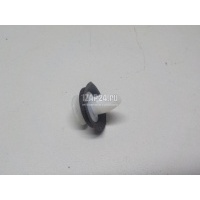 Крепеж (клоп) Nissan Qashqai (J11) 2014 960484EA0A