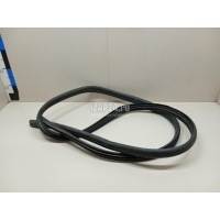 Уплотнитель двери Renault Sandero 2014 808324832R