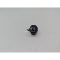 Форсунка омывателя лобового стекла Renault Sandero 2014 289308338R