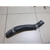 Патрубок радиатора Hyundai-Kia Soul (2014 - 2019) 25411B2000