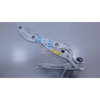 Петля крышки багажника BMW 2-serie F22/F23/F87 (2013 - 2020) 41007373847
