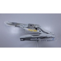 Петля крышки багажника BMW 2-serie F22/F23/F87 (2013 - 2020) 41007373848