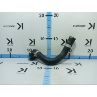 Патрубок Genesis GV80 JX1 2020 254L4T6200