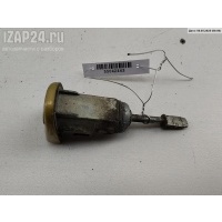 Личинка замка Лев. Volkswagen Passat B5 1998