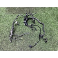Проводка двигателя BMW X3 G01 2021 12519896290, 8743497, 5a05d03, 8743497, 12515A02165