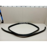 Уплотнитель двери Lifan X50 2015 AAB6207150