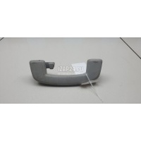 Ручка внутренняя потолочная VAG Tiguan 2016 5NA857643ARM5