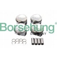 комплект поршневой borsehung b13582