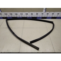 Уплотнитель стекла двери DAEWOO Gentra II 2013-2015 96548118
