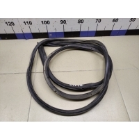 Уплотнитель двери DAEWOO Gentra II 2013-2015 96548103