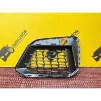 Решетка бампера BMW 5 G30 2020 51118098669, 8098669