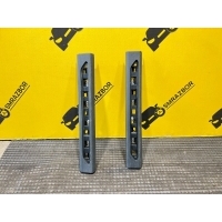 накладка порога BMW X5 G05 2020 51437434240, 51437434239, 5143 7434240, 5143 7434239