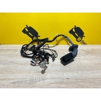 Проводка двери BMW 3 F30 2016 61129313638, 9313638