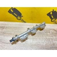 Топливная рампа BMW X7 G07 2020 13538698787, 8698787, 8631820, 191113, 10119015, 13538631820, 13538665631