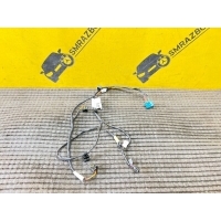 Проводка двери Mercedes Benz C W205 C205 2019 a2055409591, a2059061805