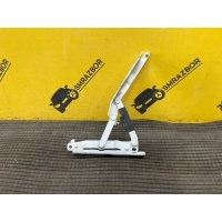 Петля капота Mercedes Benz GLE V167 W167 2021 А1678803500