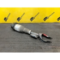 Амортизатор Mercedes Benz GLS X166 2018 a1663200100, a1663234900, A1663206766, A1663200100