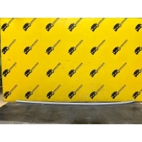 Молдинг крыши BMW X2 F39 2020 51137443701, 51137443701 7443701