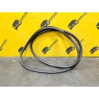 Уплотнитель двери Mercedes Benz GLE V167 W167 2019 A1676971800, A1676971800, A 167 697 18 00