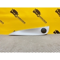 Декоративная накладка на дверь Mercedes Benz E213 W213 2019 A2137309802, A2137309802, A 213 730 98 02, А 213 730 98 02, А2137309802, т2