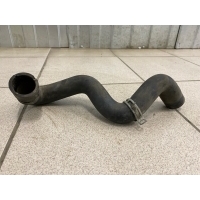Патрубок радиатора FORD Focus 3 2011-2019 1703512