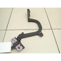 Петля капота левая BMW i3 (I01) 2013 51237299167