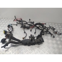 Проводка двигателя Renault Scenic III (2009-2012) 2011